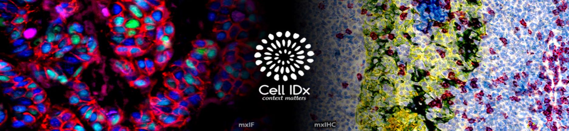 Cell IDX